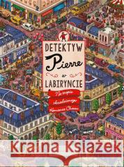Detektyw Pierre w labiryncie Hiro Kamigaki, IC4Design 9788310143648 Nasza Księgarnia - książka