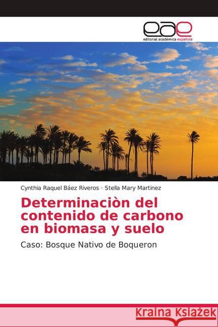 Determinaciòn del contenido de carbono en biomasa y suelo : Caso: Bosque Nativo de Boqueron Báez Riveros, Cynthia Raquel; Martinez, Stella Mary 9783659018732 Editorial Académica Española - książka