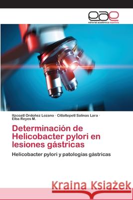Determinación de Helicobacter pylori en lesiones gástricas Itzcoatl Ordoñez Lozano, Citlaltepetl Salinas Lara, Elba Reyes M 9783848473243 Editorial Academica Espanola - książka