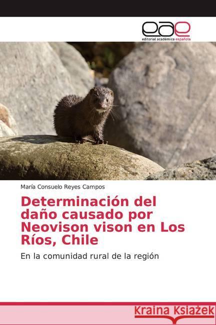 Determinación del daño causado por Neovison vison en Los Ríos, Chile : En la comunidad rural de la región Reyes Campos, María Consuelo 9786200045065 Editorial Académica Española - książka