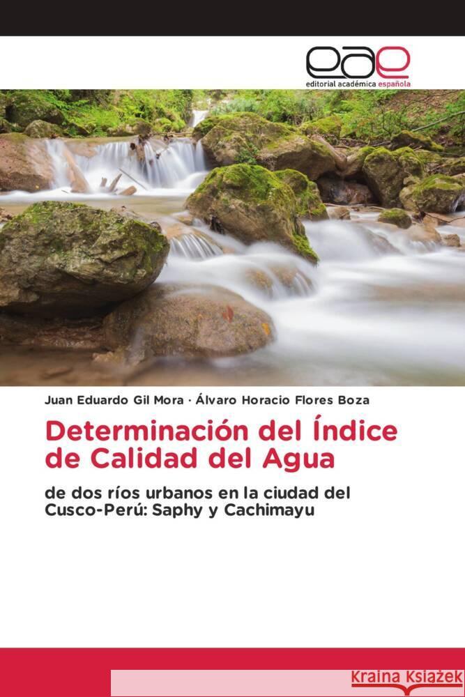 Determinación del Índice de Calidad del Agua Gil Mora, Juan Eduardo, Flores Boza, Álvaro Horacio 9783639781489 Editorial Académica Española - książka