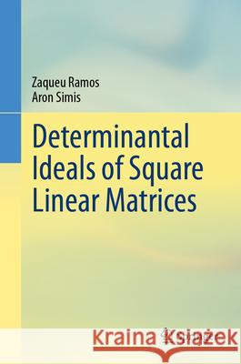 Determinantal Ideals of Square Linear Matrices Aron Simis Zaqueu Ramos 9783031552830 Springer - książka