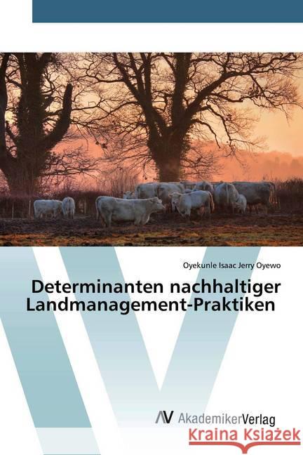 Determinanten nachhaltiger Landmanagement-Praktiken Oyewo, Oyekunle Isaac Jerry 9786200099495 AV Akademikerverlag - książka