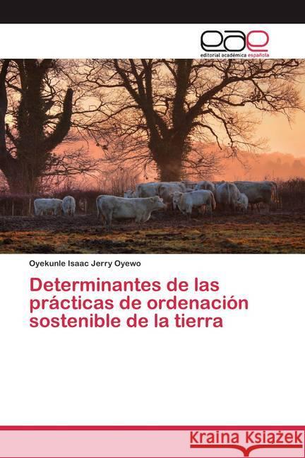 Determinantes de las prácticas de ordenación sostenible de la tierra Oyewo, Oyekunle Isaac Jerry 9786200380340 Editorial Académica Española - książka