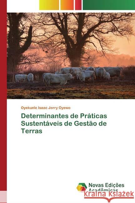 Determinantes de Práticas Sustentáveis de Gestão de Terras Oyewo, Oyekunle Isaac Jerry 9786200578112 Novas Edicioes Academicas - książka