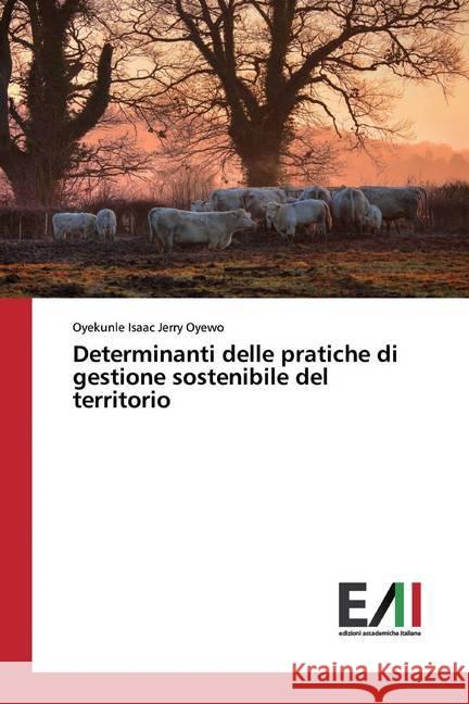 Determinanti delle pratiche di gestione sostenibile del territorio Oyewo, Oyekunle Isaac Jerry 9786200557933 Edizioni Accademiche Italiane - książka