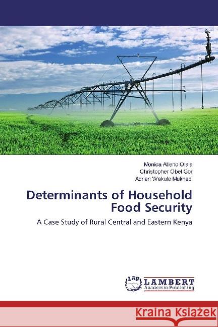 Determinants of Household Food Security : A Case Study of Rural Central and Eastern Kenya Olala, Monica Atieno; Gor, Christopher Obel; Mukhebi, Adrian Wekulo 9783659921599 LAP Lambert Academic Publishing - książka