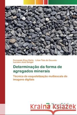 Determinação da forma de agregados minerais Stelle, Fernanda Elisa 9786139798544 Novas Edicioes Academicas - książka