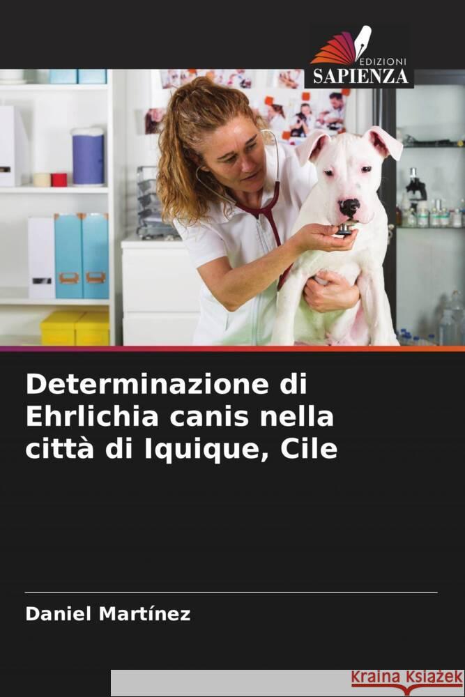 Determinazione di Ehrlichia canis nella citt? di Iquique, Cile Daniel Mart?nez 9786206986461 Edizioni Sapienza - książka