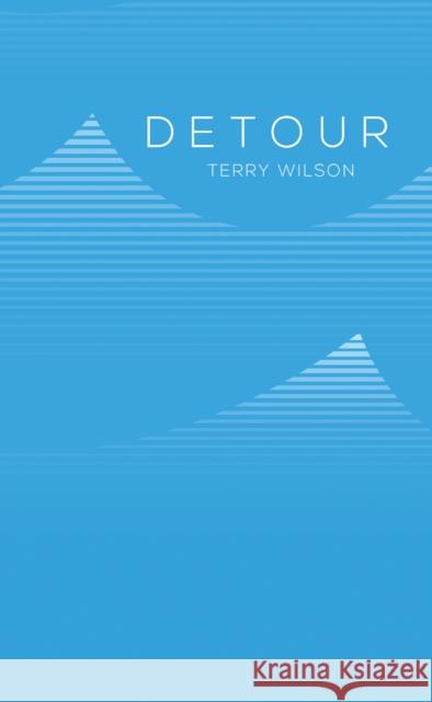 Detour Terry Wilson 9781037113727 Austin Macauley Publishers - książka