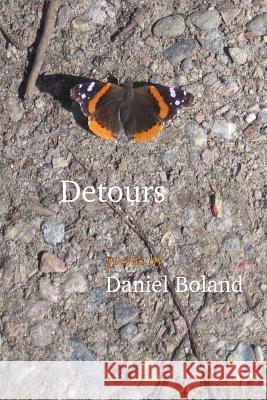 Detours Daniel Boland 9780991907335 Stone Flower Press - książka