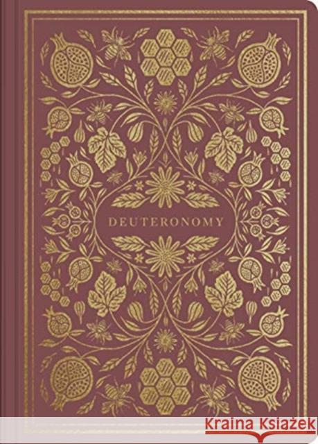 Deuteronomy  9781433569296 Crossway Books - książka