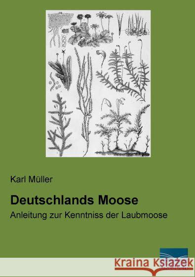 Deutschlands Moose : Anleitung zur Kenntniss der Laubmoose Müller, Karl 9783956921391 Fachbuchverlag-Dresden - książka