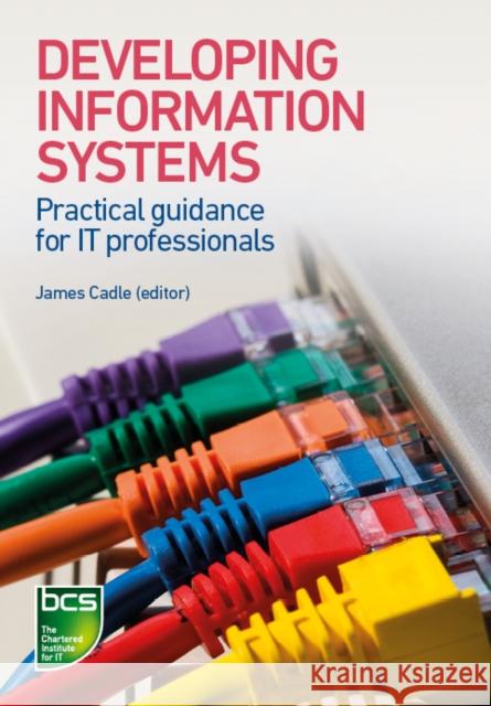 Developing Information Systems: Practical guidance for IT professionals Peter Thompson 9781780172453 BCS Learning & Development Limited - książka