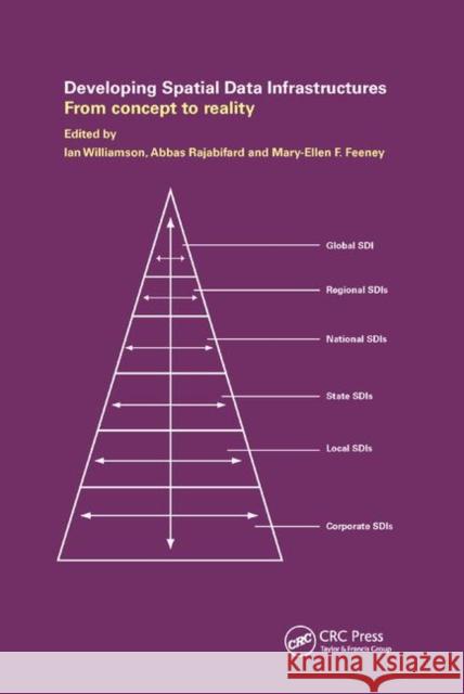 Developing Spatial Data Infrastructures: From Concept to Reality Williamson, Ian P. 9781138372504 Taylor and Francis - książka