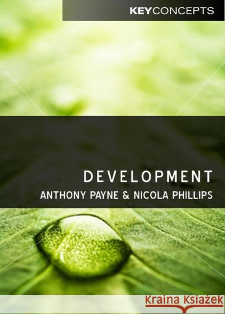 Development  Payne 9780745630670 BLACKWELL PUBLISHERS - książka