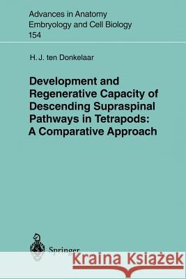 Development and Regenerative Capacity of Descending Supraspinal Pathways in Tetrapods: A Comparative Approach Donkelaar, H. J. Ten 9783540664666 Springer Berlin Heidelberg - książka