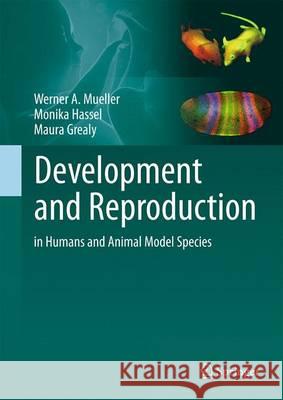 Development and Reproduction in Humans and Animal Model Species Werner A. Muller Monika Hassel Maura Grealy 9783662437834 Springer - książka