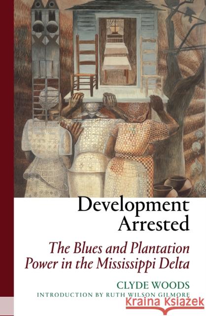 Development Arrested: The Blues and Plantation Power in the Mississippi Delta Woods, Clyde 9781844675616 VERSO BOOKS - książka