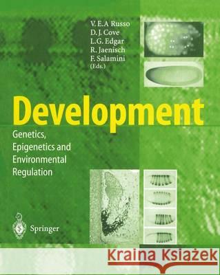Development: Genetics, Epigenetics and Environmental Regulation Russo, V. E. a. 9783642641411 Springer - książka