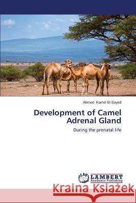 Development of Camel Adrenal Gland Kamel El-Sayed Ahmed 9783659496769 LAP Lambert Academic Publishing - książka