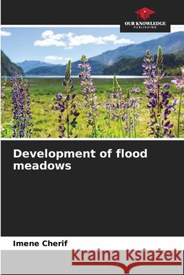 Development of flood meadows Imene Cherif 9786208366728 Our Knowledge Publishing - książka