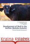 Development of Skull in the Buffalo (Bubalus bubalis) Rao T. S. Chandrasekhara 9783659578588 LAP Lambert Academic Publishing