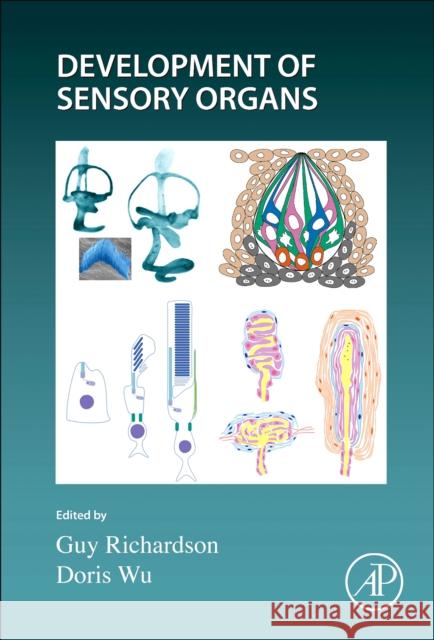 Development of the Senses: Volume 162 Guy Richardson Doris Wu 9780323913720 Academic Press - książka