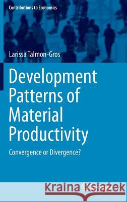 Development Patterns of Material Productivity: Convergence or Divergence? Talmon-Gros, Larissa 9783319025377 Springer - książka