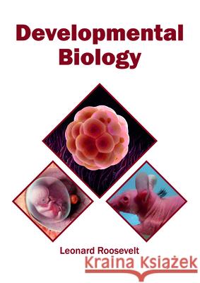 Developmental Biology Leonard Roosevelt 9781682865200 Syrawood Publishing House - książka