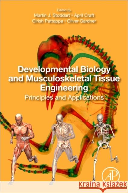 Developmental Biology and Musculoskeletal Tissue Engineering: Principles and Applications Girish Pattappa April Craft Oliver Gardner 9780128114674 Academic Press - książka