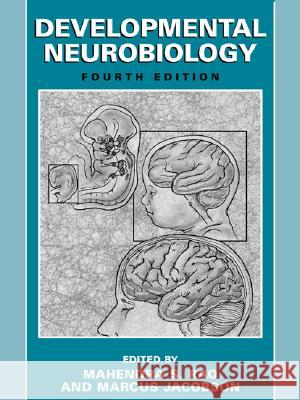 Developmental Neurobiology Mahendra S. Rao Marcus Jacobson 9780306483301 Kluwer Academic Publishers - książka