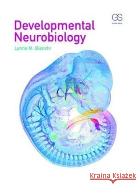 Developmental Neurobiology Bianchi, Lynne (Author of forthcoming Introduction to Developmental Neurobiology) 9780815344827  - książka