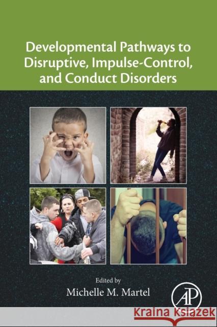 Developmental Pathways to Disruptive, Impulse-Control, and Conduct Disorders Michelle M. Martel 9780128113233 Academic Press - książka