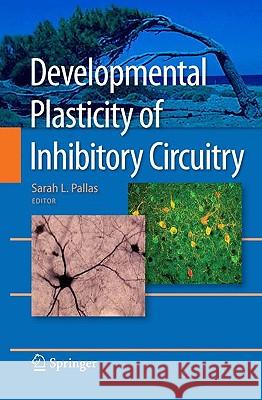 Developmental Plasticity of Inhibitory Circuitry Sarah L. Pallas 9781441912428 Springer - książka