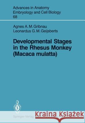 Developmental Stages in the Rhesus Monkey (Macaca Mulatta) Gribnau, A. a. M. 9783540104698 Springer - książka
