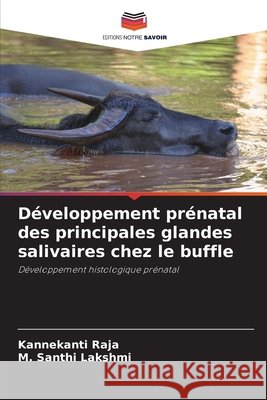 Développement prénatal des principales glandes salivaires chez le buffle Raja, Kannekanti, Santhi Lakshmi, M. 9786202498944 Editions Notre Savoir - książka