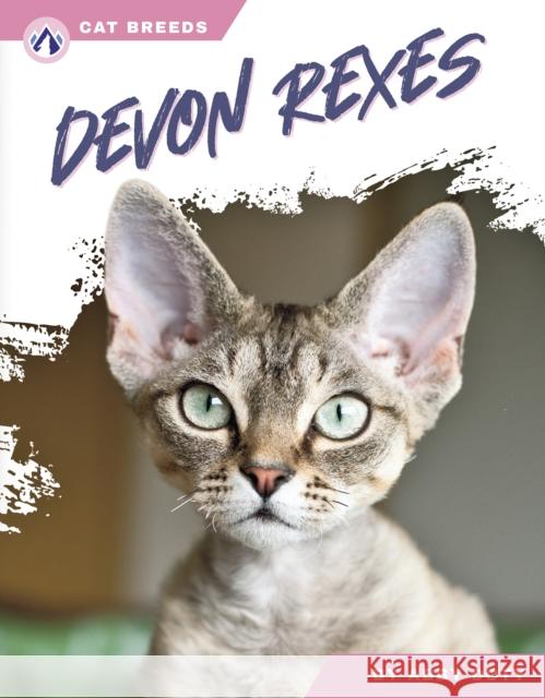 Devon Rexes Abby Doty 9798892503099 Apex - książka