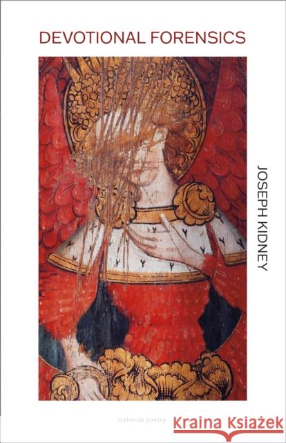 Devotional Forensics Joseph Kidney 9781773104218 Goose Lane Editions - książka