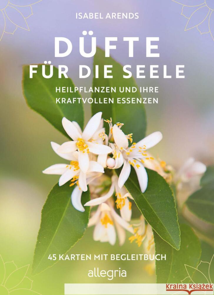 Düfte für die Seele Arends, Isabel 4251385308519 Allegria - książka