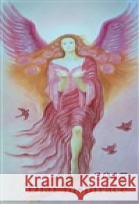 Diář inspirace 2017 Květoslava Kolouchová 9788090633902 Květoslava Kolouchová - książka