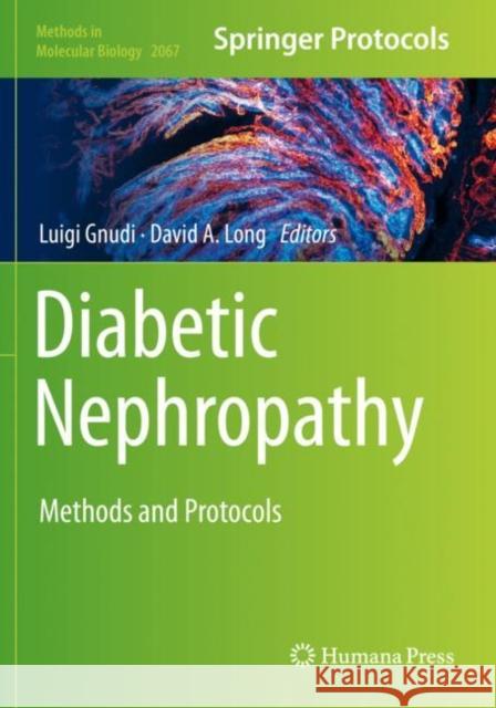 Diabetic Nephropathy: Methods and Protocols Luigi Gnudi David A. Long 9781493998432 Humana - książka