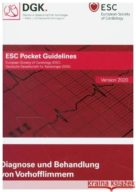 Diagnose und Behandlung von Vorhofflimmern  9783898623261 Börm Bruckmeier - książka