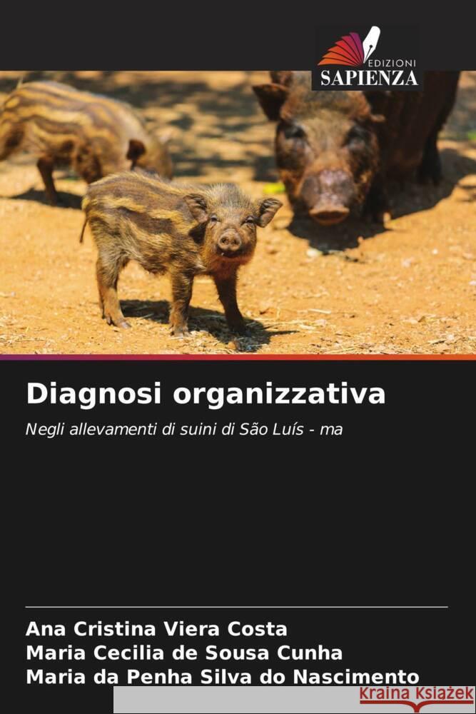 Diagnosi organizzativa Ana Cristina Viera Costa Maria Cecilia de Sousa Cunha Maria Da Penha Silva Do Nascimento 9786208577940 Edizioni Sapienza - książka