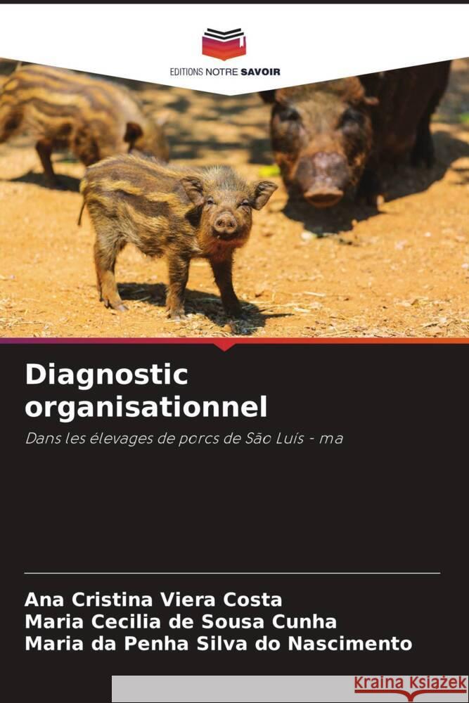 Diagnostic organisationnel Ana Cristina Viera Costa Maria Cecilia de Sousa Cunha Maria Da Penha Silva Do Nascimento 9786208577933 Editions Notre Savoir - książka