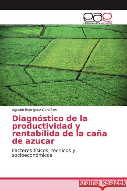 Diagnóstico de la productividad y rentabilida de la caña de azucar : Factores físicos, técnicos y socioeconómicos Rodríguez Gonzáles, Agustín 9786139186631 Editorial Académica Española - książka