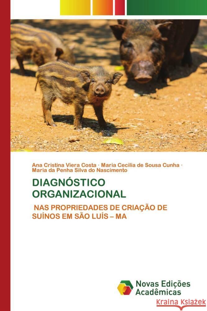 DIAGNÓSTICO ORGANIZACIONAL Costa, Ana Cristina Viera, Cunha, Maria Cecilia de Sousa, Nascimento, Maria da Penha Silva do 9786206761532 Novas Edições Acadêmicas - książka