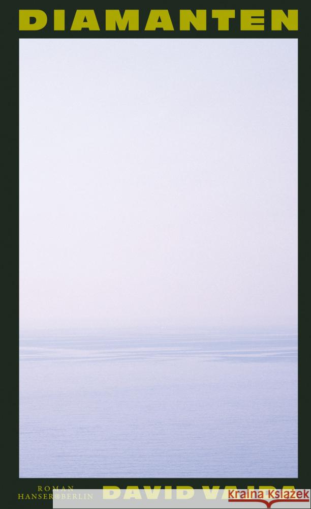 Diamanten Vajda, David 9783446285842 Hanser Berlin - książka