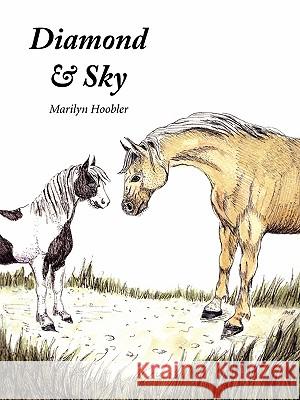 Diamond & Sky Marilyn E. Hoobler 9780982206607 Marilyn Hoobler - książka