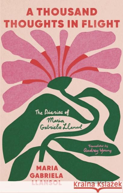 Diaries  9781646053056 Deep Vellum Publishing - książka